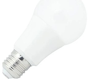Lampadina LED E27 105W 105lm/W Colore Bianco Caldo 2.700K