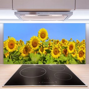 Pannello paraschizzi cucina Pianta di fiori di girasole 100x50 cm