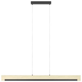 Eglo 901737 - Lampadario a sospensione con filo LED dimmerabile CAMACHO LED/25,5W/230V nero/beige
