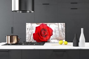 Pannello paraschizzi cucina Natura della pianta del fiore della rosa 100x50 cm