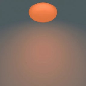 Philips - Plafoniera LED dimmerabile TOBA 1xLED/23W/230V + T