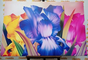 Quadro su tela – Fantasia floreale