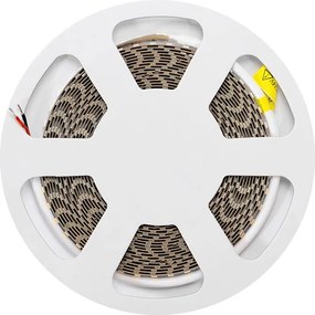 Striscia LED 24V 10W/m Alta Efficienza Professionale - IP20 - 5 metri