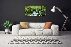 Stampa quadro su tela Fiume delle cascate di Las Potok 100x50 cm