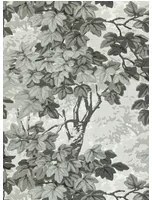 Zoffany Carta da parati Richmond Park - Charcoal
