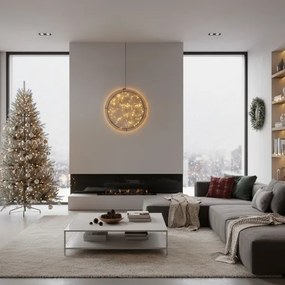 Brilagi - LED Decorazione natalizia da esterno LED/2,6W/230V IP44 cerchio da 46 cm