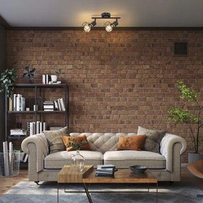 Rabalux 71066 - Faretto FRAN 2xE27/40W/230V nero