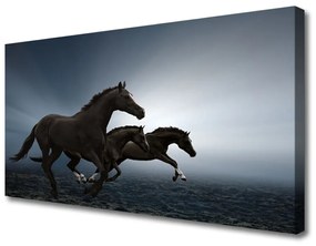 Quadro su tela Animali cavalli 100x50 cm