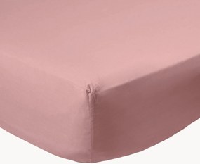 Lenzuolo con angoli boxspring in percalle di cotone Mauve