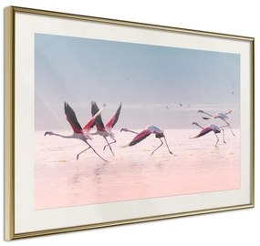 Poster  Flamingos Breaking into a Flight  Cornice Quadri Cornice d'oro con passe-partout, Larghezza x Altezza Home decor 90x60