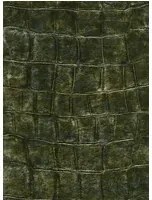 Élitis Carta da parati Bic Croco - Kupfer/ Dunkelgrün