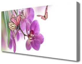 Quadro su tela Farfalle Fiori Natura 100x50 cm