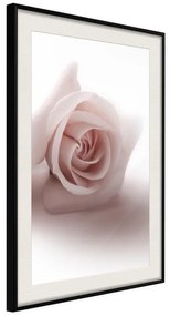 Poster  Subtle Flower  Cornice Quadri Cornice nera con pass-partout, Larghezza x Altezza Home decor 40x60