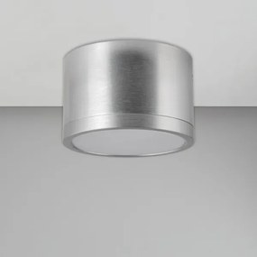 Plafoniera LED MIRELLA 1xGX53/6W/230V cromo