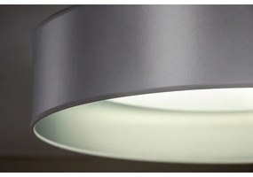 Duolla - Plafoniera LED ROLLER LED/24W/230V diametro 45 cm argento