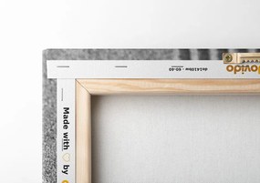 Stampa su tela – Giardino giapponese con elementi Feng Shui in bianco e nero