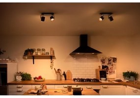 Philips 50672/30/P0 - Luce Spot a LED dimmerabile BYRL 2xLED/4.5W/230V