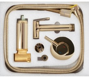 REA-B8979 - Miscelatore per bidet con doccetta per installazione ad incasso LUNGO oro