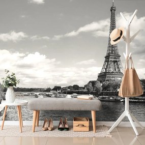 Carta da parati autoadesiva – Panorama affascinante di Parigi in bianco e nero