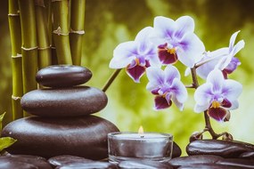 Stampa su tela – Natura morta spa