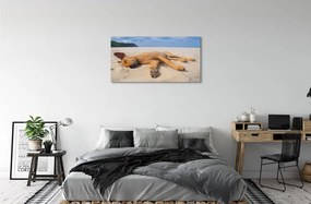 Quadro su tela Cane da spiaggia sdraiato 100x50 cm