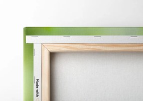 Stampa su tela – Natura morta Feng Shui