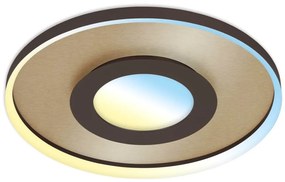 Briloner 3640017 - Lampada LED da soffitto dimmerabile 25W 230V 2700-6500K + DO