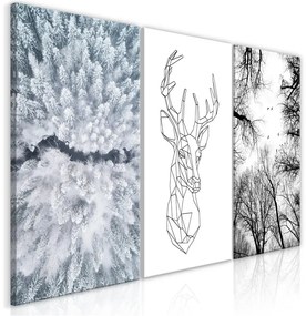 Quadro  Deers Life (Collection)  Colore Verde, Dimensioni e Misure 60x30