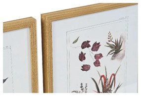 Quadro DKD Home Decor Tela Piante botaniche (4 pezzi) (43 x 3 x 53 cm)
