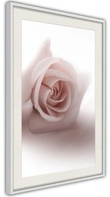 Poster  Subtle Flower  Cornice Quadri Cornice d'oro con passe-partout, Larghezza x Altezza Home decor 40x60