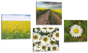 Set di quadri – Prato pieno di fiori