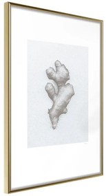 Poster  Ginger Rhizome  Cornice Quadri Cornice d'oro, Larghezza x Altezza Home decor 30x45