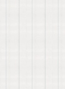 Coordonne Carta da parati Stripe 0.3 - Principe