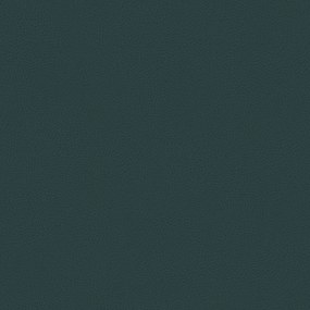 Bisont cuscino disponibile in diversi colori realizzato in microfibra effetto pelle smacchiabile T15 petrolio