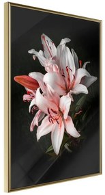 Poster  Pale Pink Lilies  Cornice Quadri Cornice d'oro, Larghezza x Altezza Home decor 40x60