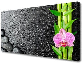 Quadro stampa su tela Stelo della pianta del fiore di bambù 100x50 cm