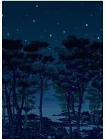 Rebel Walls Carta da parati panoramica The Enchanted Forest - Night