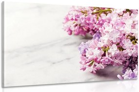 Quadro su tela – Splendidi fiori su sfondo di marmo
