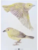 Sian Zeng Adesivo murale  - Yellow