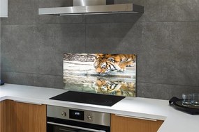 Rivestimento parete cucina Tigre bevente 100x50 cm