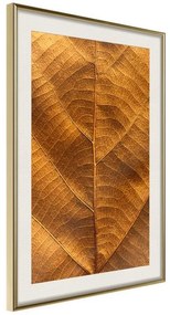 Poster  Golden Veins  Cornice Quadri Cornice d'oro con passe-partout, Larghezza x Altezza Home decor 20x30