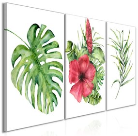 Quadro  Red Hibiscus (3 Parts)  Colore Bianco, Dimensioni e Misure 120x60