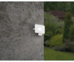 Eglo 33159 - Proiettore di luce a LED con sensore FAEDO 3 LED/50W/230V