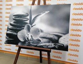 Stampa su tela – Composizione Zen meditativa in bianco e nero