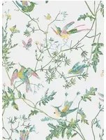 Cole & Son Carta da parati Hummingbirds Icons - Green/ Pink
