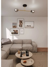 Plafoniera Moderna Magnium 2 Luci In Acciao Oro E Sfere In Vetro Fumè