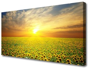 Quadro su tela Il sole, il prato, i girasoli 100x50 cm