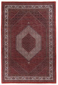 Bidjar Tappeto persiano 210 x 300 (Iran) Annodato A Mano