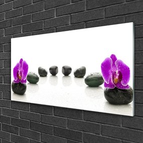 Quadro in vetro Fiori Orchidee Ciottoli 100x50 cm