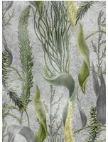Mindthegap Carta da parati Aquatic Plants - WP20718